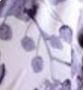 Lavendelbloesem geknoopte voorkant zwangerschapsjurk